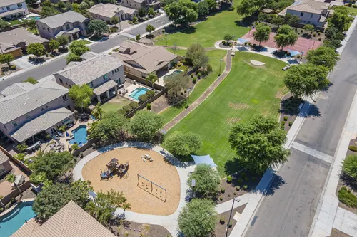 Whitewing at Higley in Gilbert, Arizona