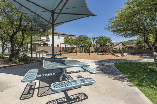 Whitewing at Higley in Gilbert, Arizona