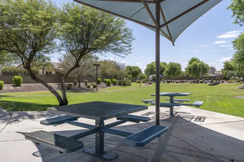 Whitewing at Higley in Gilbert, Arizona
