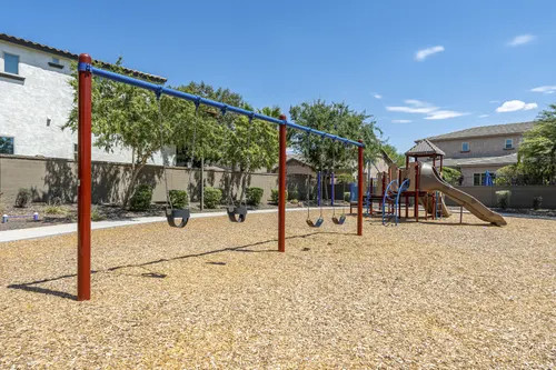 Whitewing at Higley in Gilbert, Arizona
