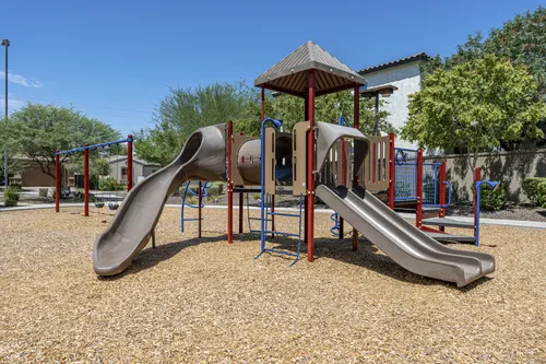 Whitewing at Higley in Gilbert, Arizona