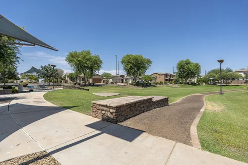Whitewing at Higley in Gilbert, Arizona