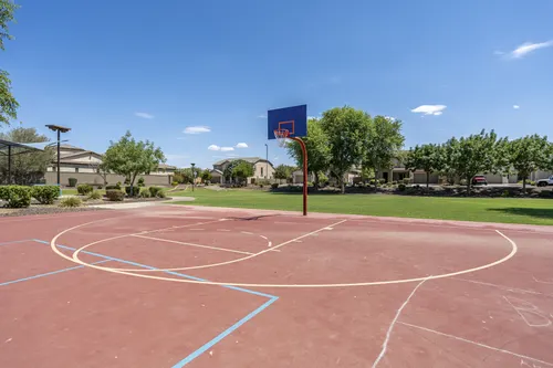 Whitewing at Higley in Gilbert, Arizona