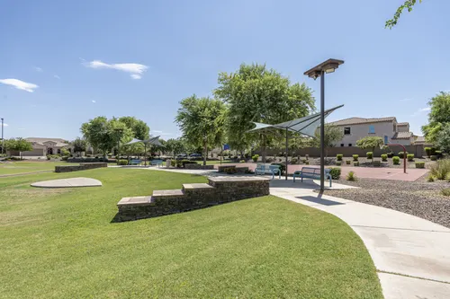 Whitewing at Higley in Gilbert, Arizona