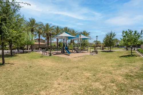 Willows in Gilbert, Arizona