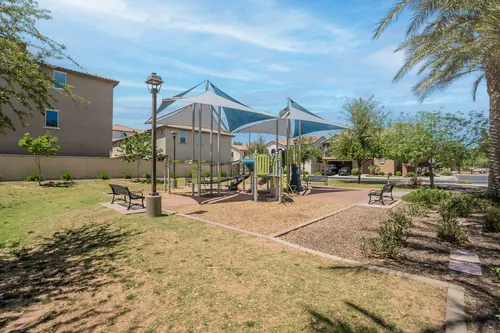 Willows in Gilbert, Arizona