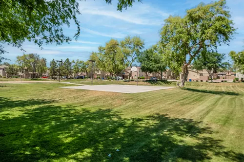 Willows in Gilbert, Arizona