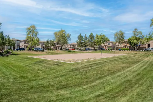 Willows in Gilbert, Arizona