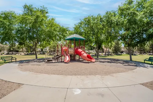 Willows in Gilbert, Arizona