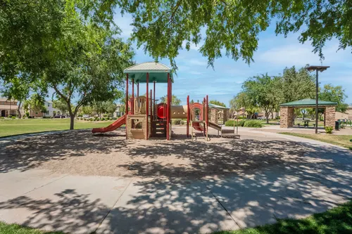 Willows in Gilbert, Arizona