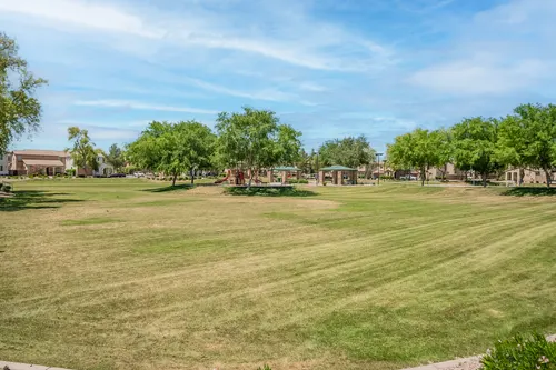 Willows in Gilbert, Arizona