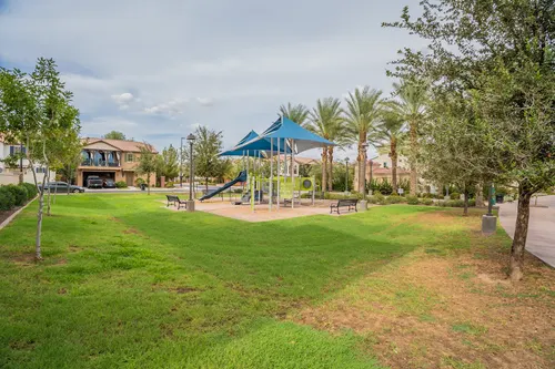 Willows in Gilbert, Arizona