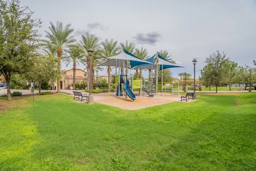 Willows in Gilbert, Arizona