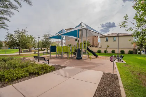 Willows in Gilbert, Arizona