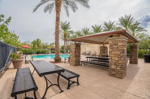 Willows in Gilbert, Arizona