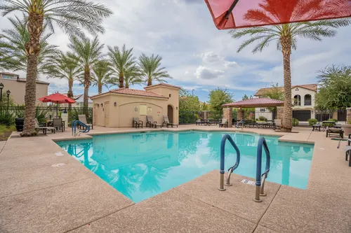 Willows in Gilbert, Arizona
