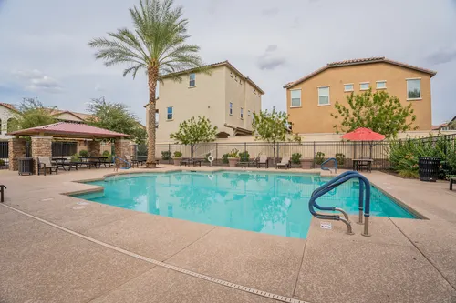 Willows in Gilbert, Arizona