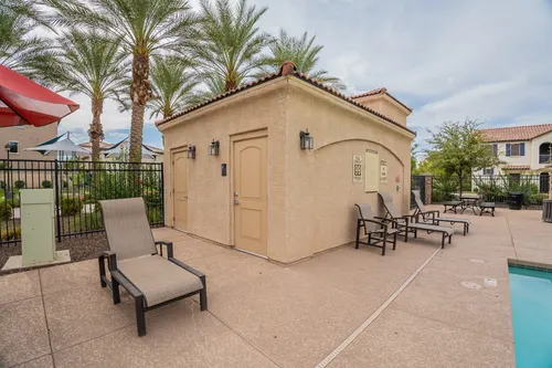 Willows in Gilbert, Arizona