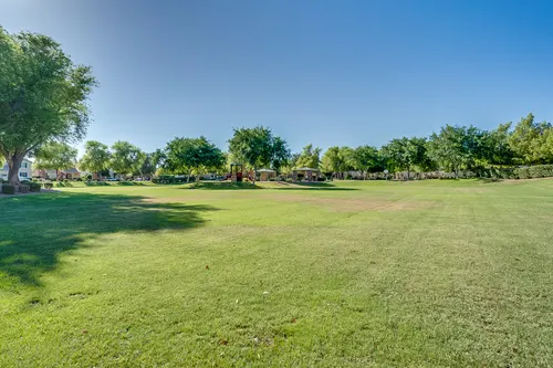 Willows in Gilbert, Arizona