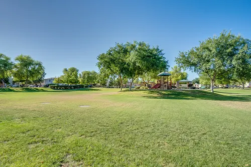 Willows in Gilbert, Arizona