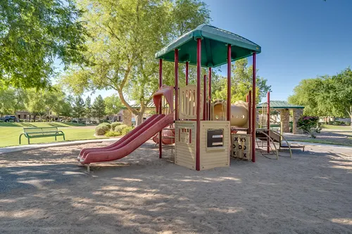 Willows in Gilbert, Arizona