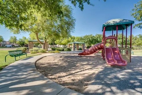 Willows in Gilbert, Arizona