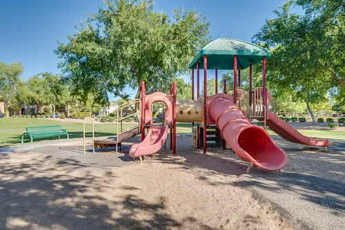 Willows in Gilbert, Arizona