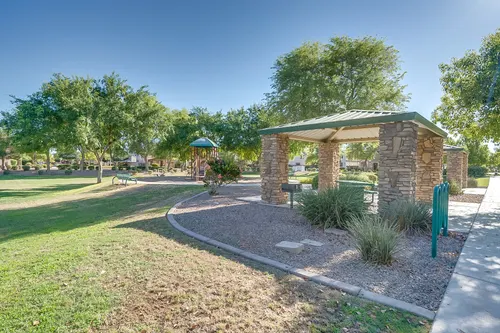 Willows in Gilbert, Arizona