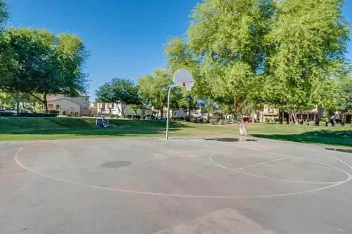 Willows in Gilbert, Arizona