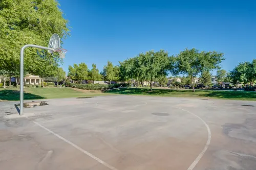 Willows in Gilbert, Arizona