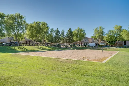 Willows in Gilbert, Arizona