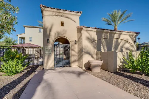 Willows in Gilbert, Arizona