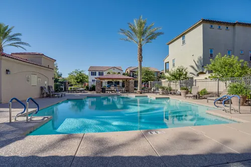 Willows in Gilbert, Arizona