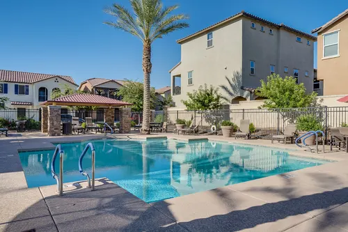 Willows in Gilbert, Arizona