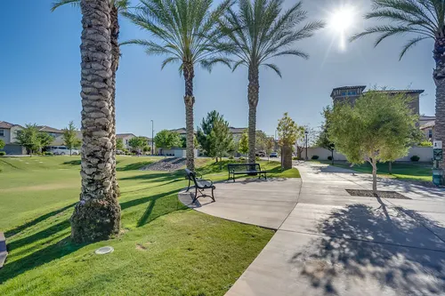 Willows in Gilbert, Arizona