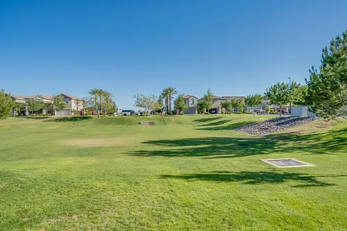 Willows in Gilbert, Arizona