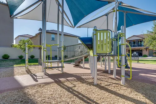 Willows in Gilbert, Arizona