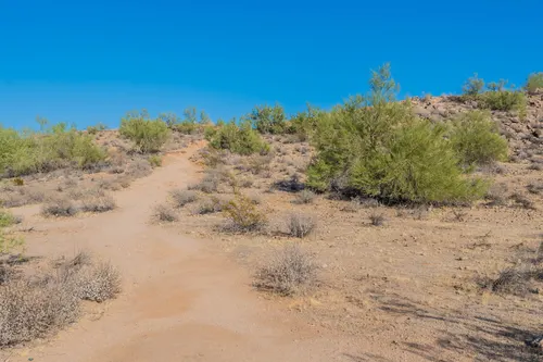 Patrick Ranch in Glendale, Arizona