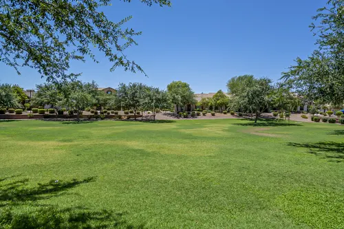 Provence in Glendale, Arizona
