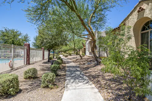 Provence in Glendale, Arizona