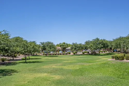 Provence in Glendale, Arizona