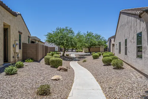 Provence in Glendale, Arizona