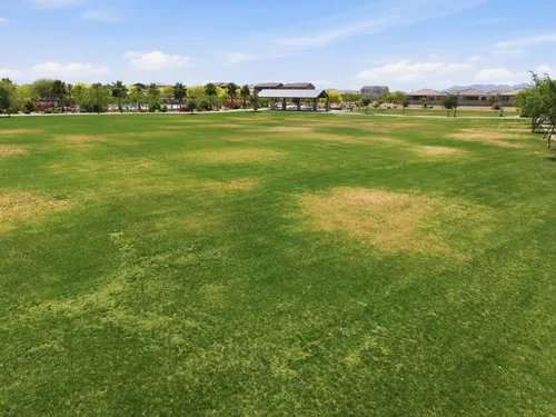Stonehaven in Glendale, Arizona