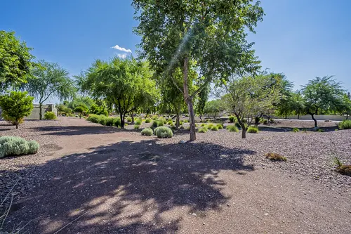 Tessera in Glendale, Arizona