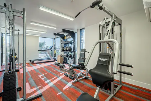 Verve Apartments in Glendale, Arizona