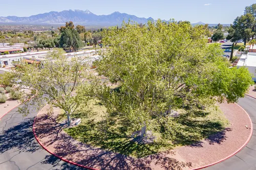 Villas East in Green Valley, Arizona
