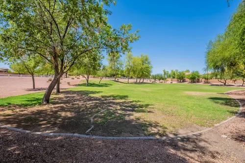 Cheatham Farms in Laveen, Arizona