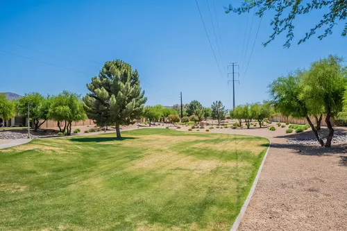 Cheatham Farms in Laveen, Arizona