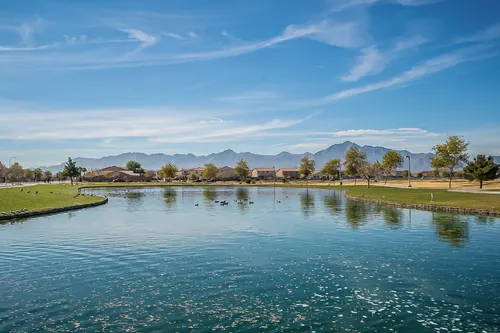 Laveen Farms in Laveen, Arizona