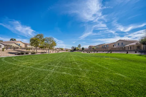 Laveen Farms in Laveen, Arizona
